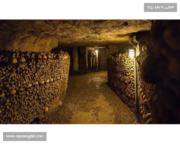 揭秘恐怖先祖交换契约背后的惊人真相与历史谜团