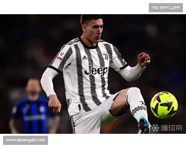 弗拉霍维奇成功的四个关键因素及其背后的深刻影响解析